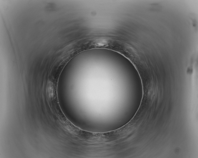 X0000092101442200709191256