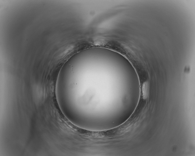 X0000092101443200709191256