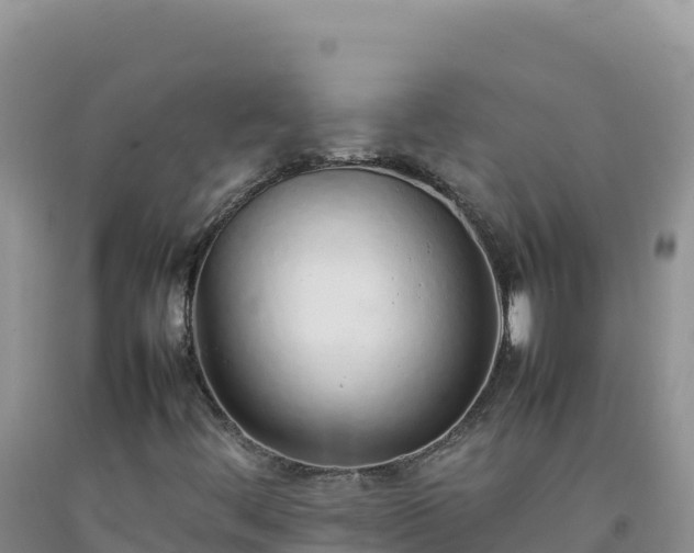 X0000092101444200709191256