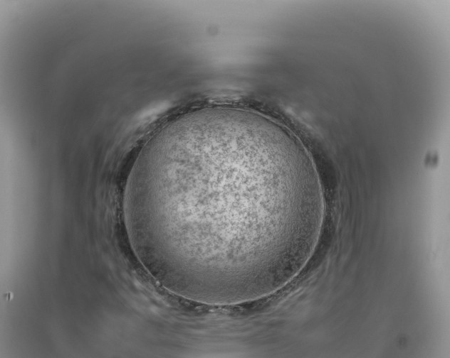 X0000092101445200709191256