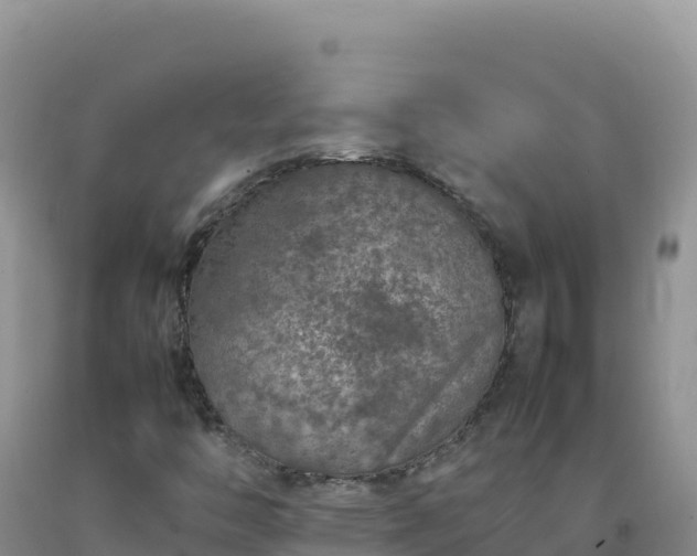 X0000092101446200709191256