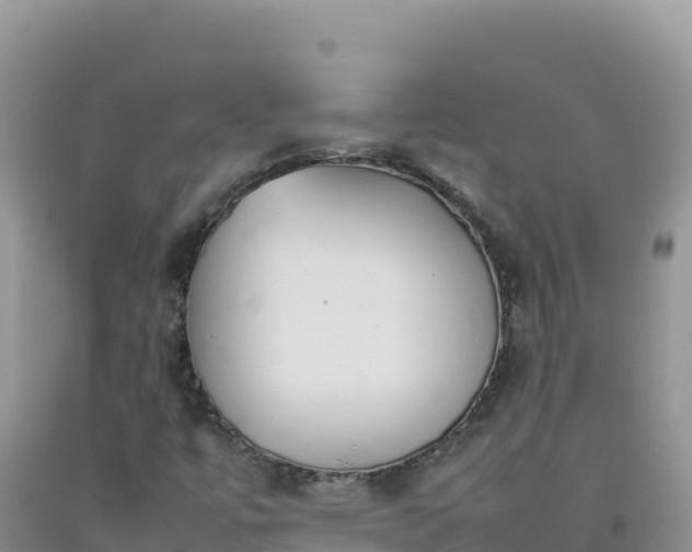 X0000092101447200709191256