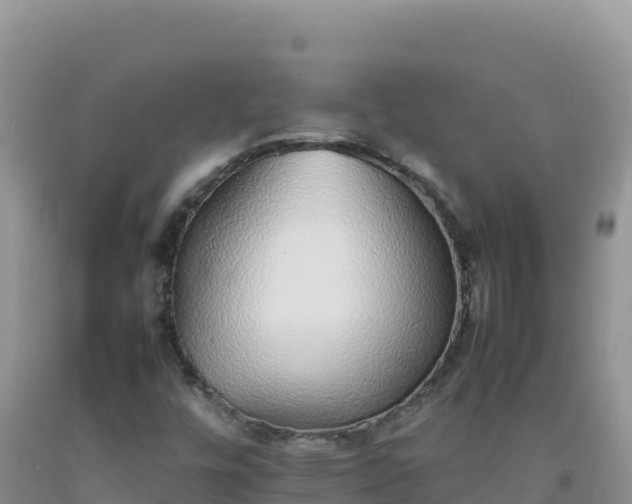 X0000092101448200709191256