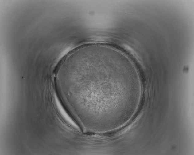 X0000092101449200709191256