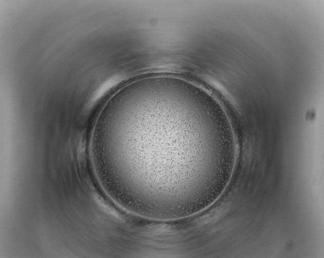 X0000092101450200709191256