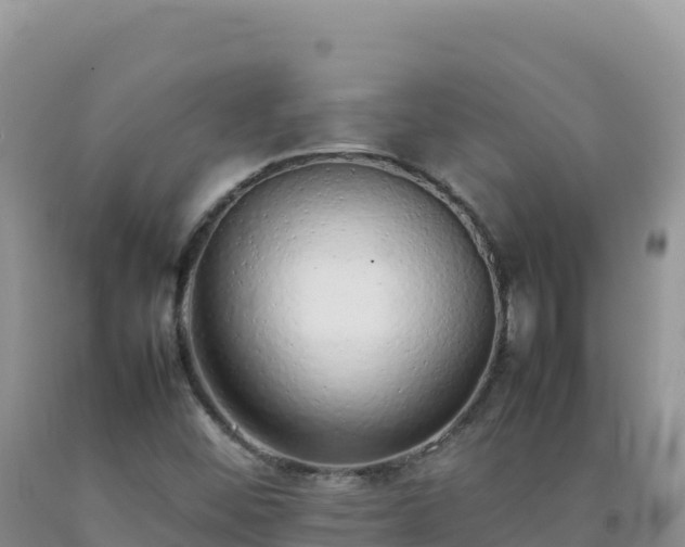 X0000092101452200709191256