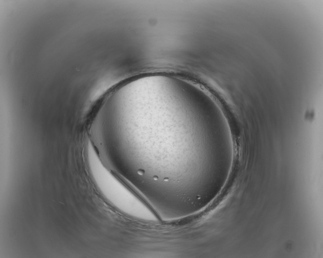 X0000092101453200709191256