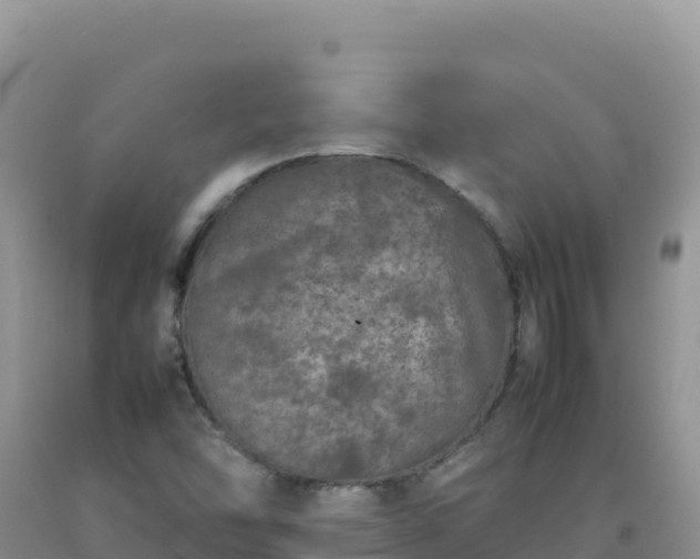 X0000092101454200709191256