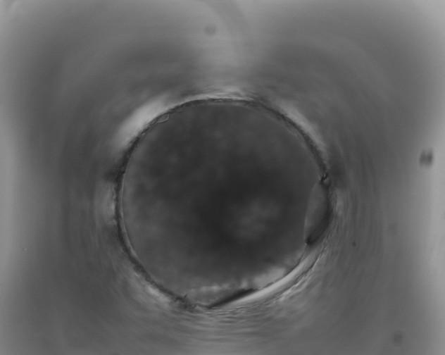 X0000092101455200709191256