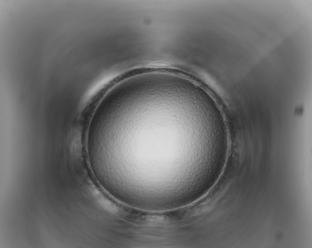 X0000092101456200709191256