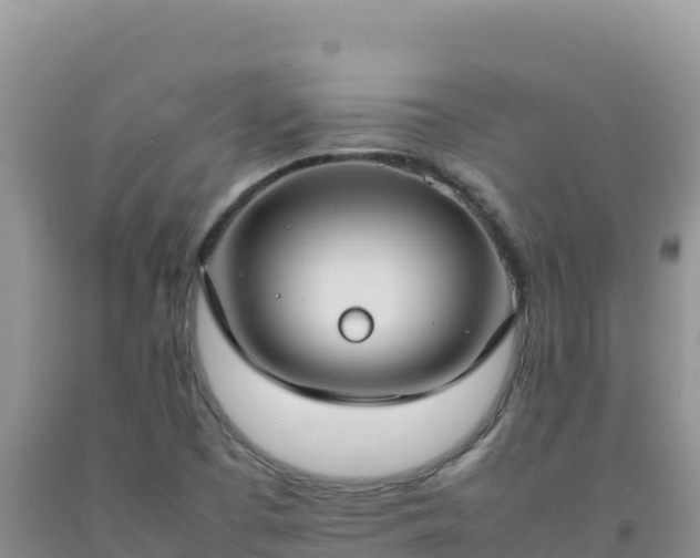 X0000092101457200709191256