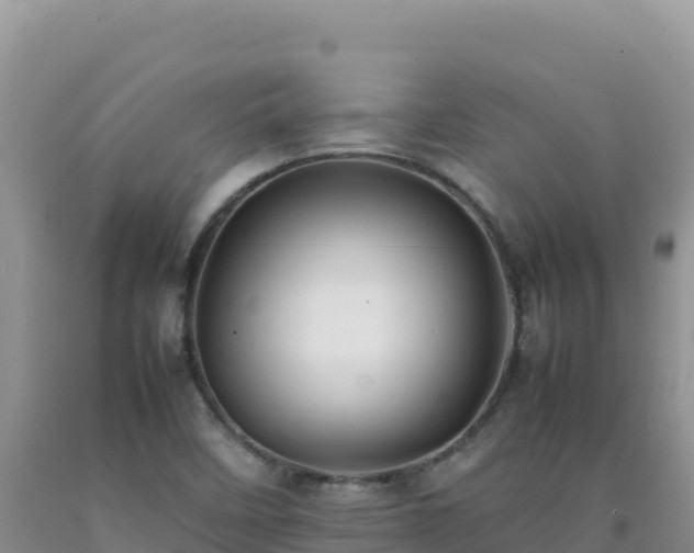 X0000092101458200709191256