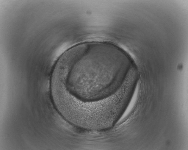 X0000092101459200709191256