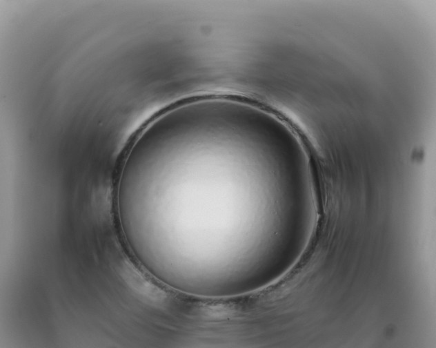 X0000092101460200709191256