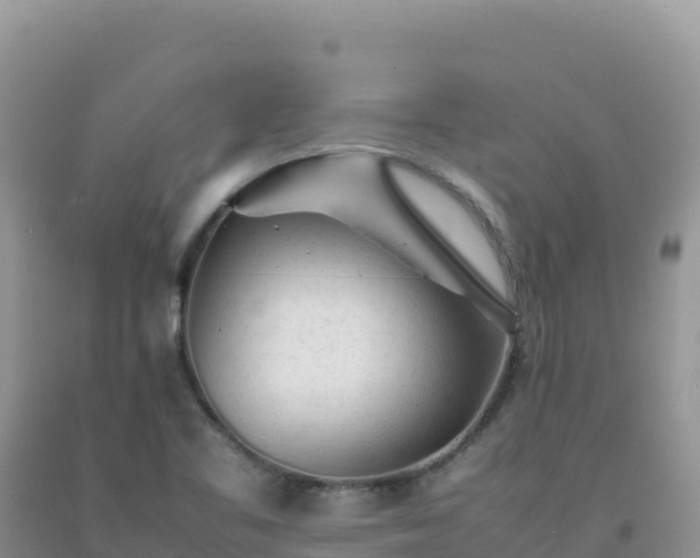 X0000092101461200709191256