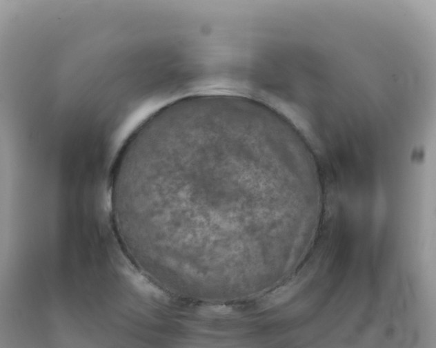 X0000092101462200709191256