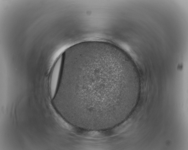 X0000092101463200709191256