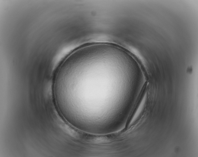 X0000092101464200709191256