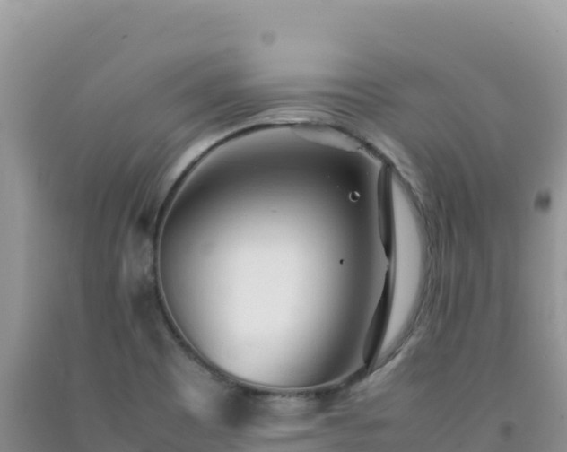 X0000092101465200709191256