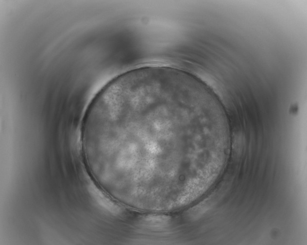 X0000092101466200709191256