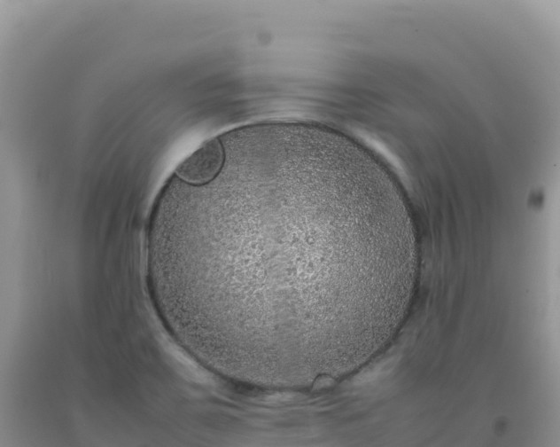 X0000092101467200709191256