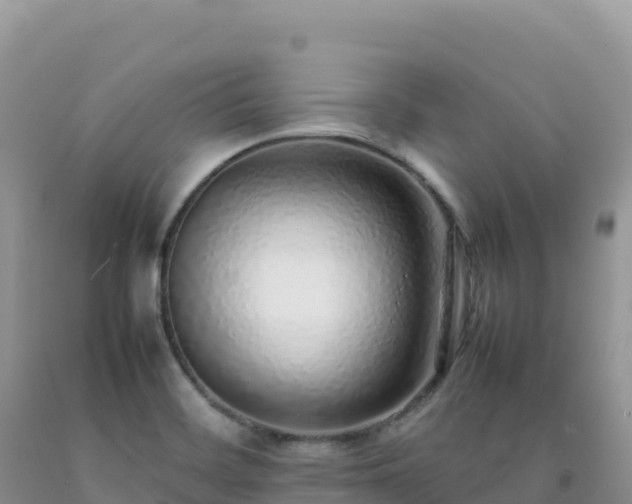 X0000092101468200709191256