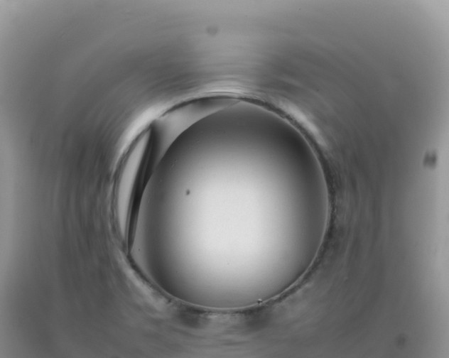 X0000092101469200709191256