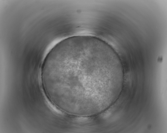 X0000092101470200709191256