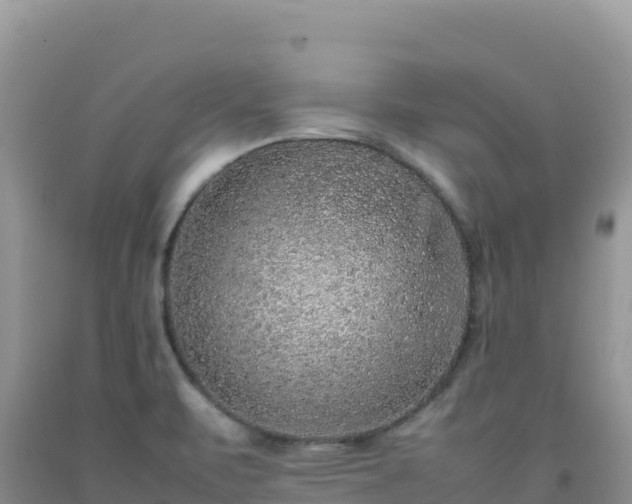 X0000092101471200709191256