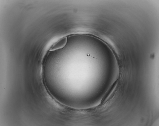 X0000092101472200709191256