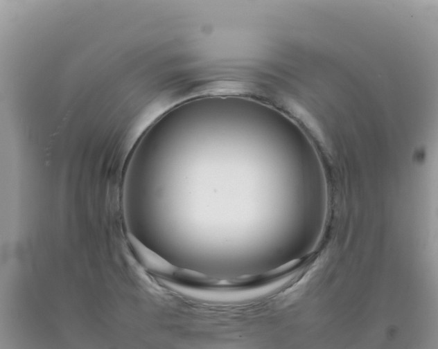 X0000092101473200709191256