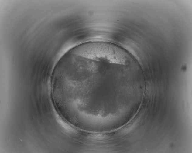 X0000092101474200709191256