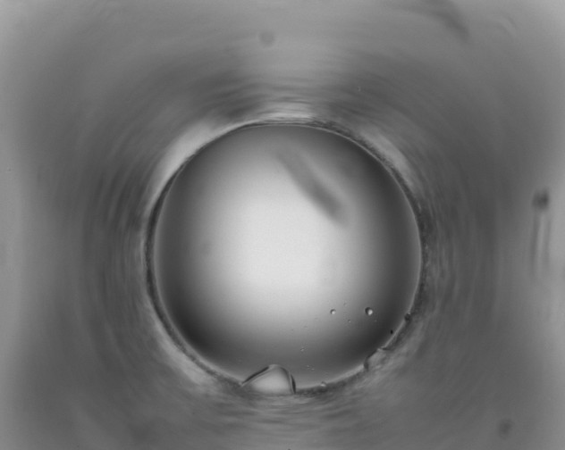 X0000092101475200709191256