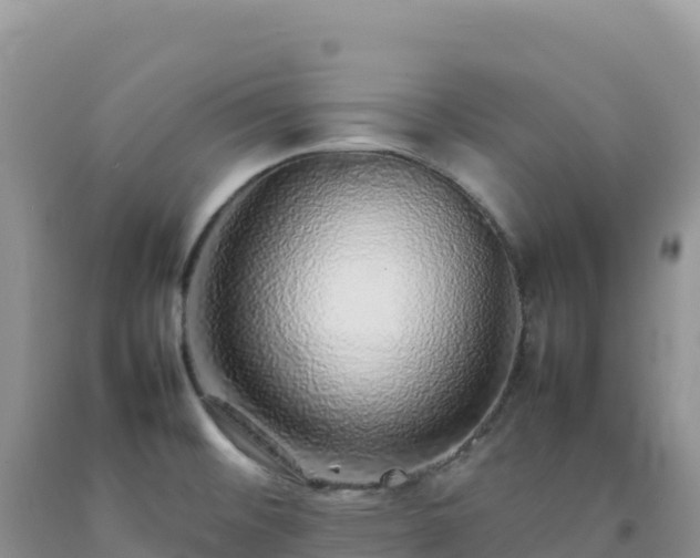 X0000092101476200709191256