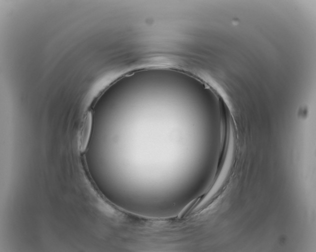 X0000092101477200709191256