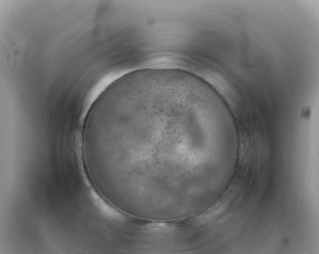 X0000092101478200709191256