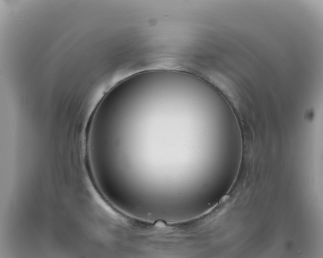 X0000092101479200709191256