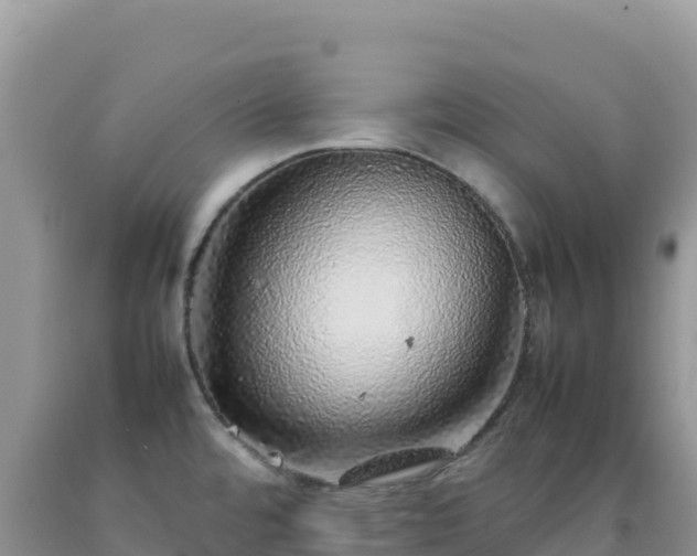 X0000092101480200709191256