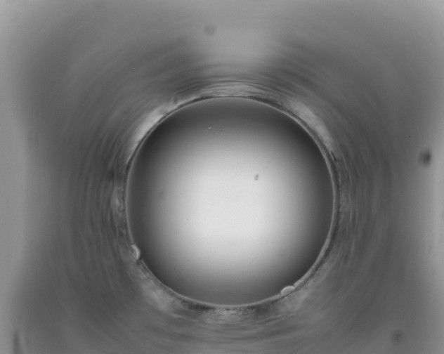 X0000092101481200709191256