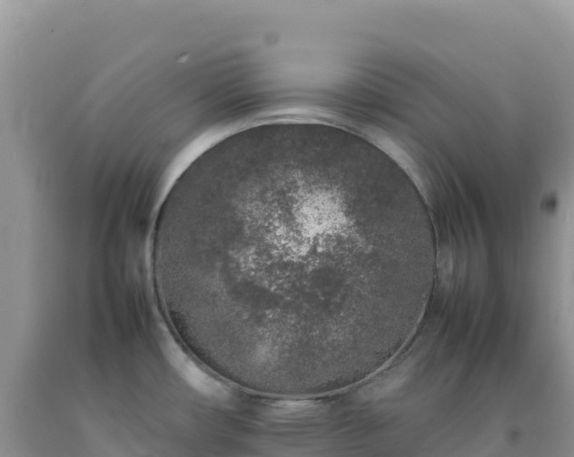 X0000092101482200709191256