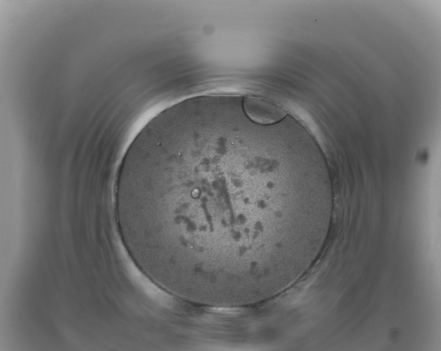 X0000092101483200709191256