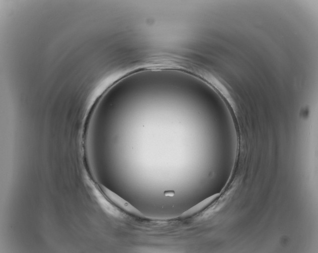 X0000092101485200709191256