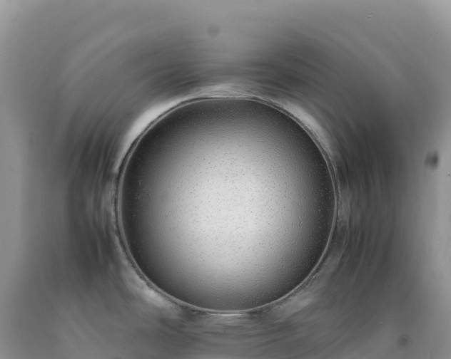 X0000092101486200709191256