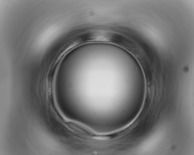 X0000092101487200709191256