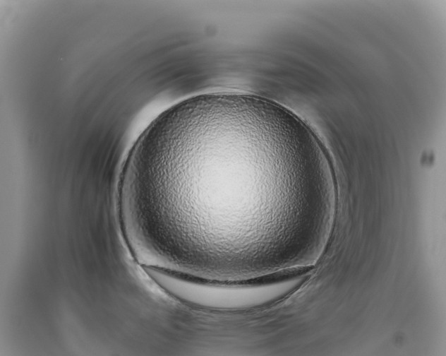 X0000092101488200709191256