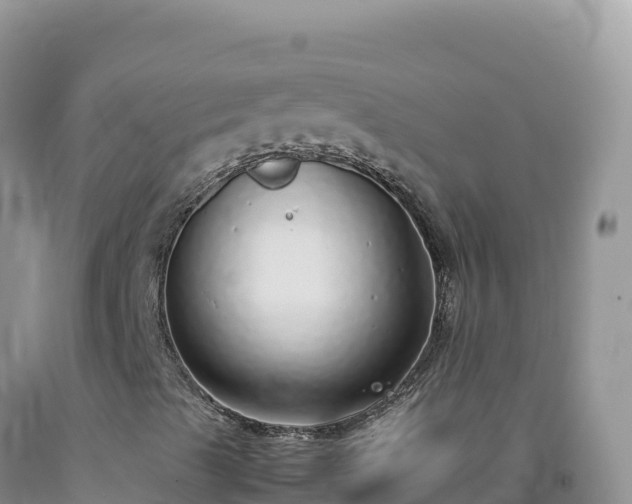 X0000092101489200709191255