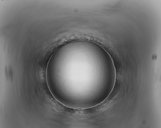 X0000092101490200709191255