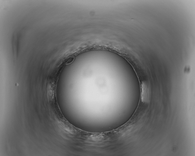 X0000092101491200709191255