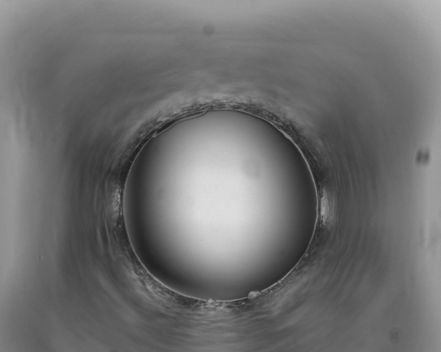 X0000092101492200709191255