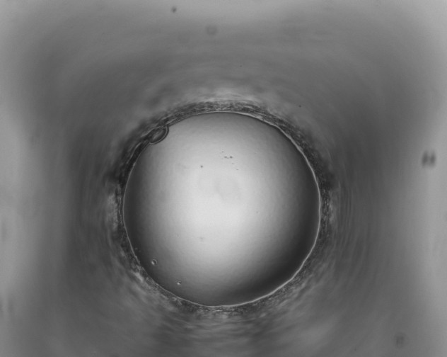 X0000092101493200709191255